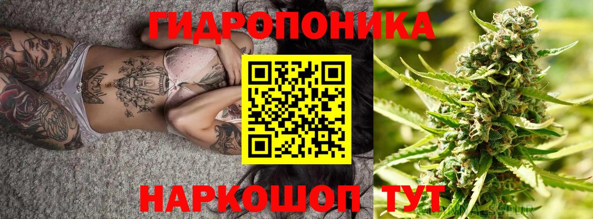 МАРИХУАНА Ganja Рославль
